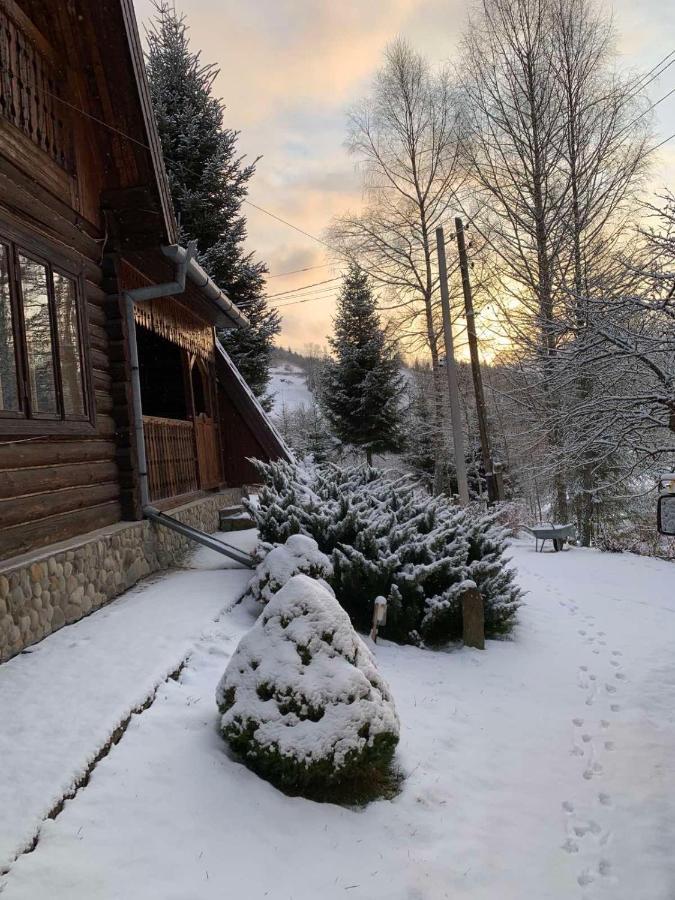 Sadyba Vanda Oryavchyk Dış mekan fotoğraf