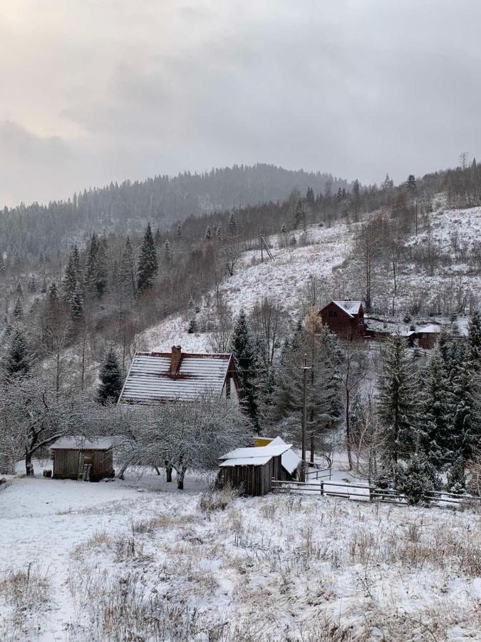 Sadyba Vanda Oryavchyk Dış mekan fotoğraf