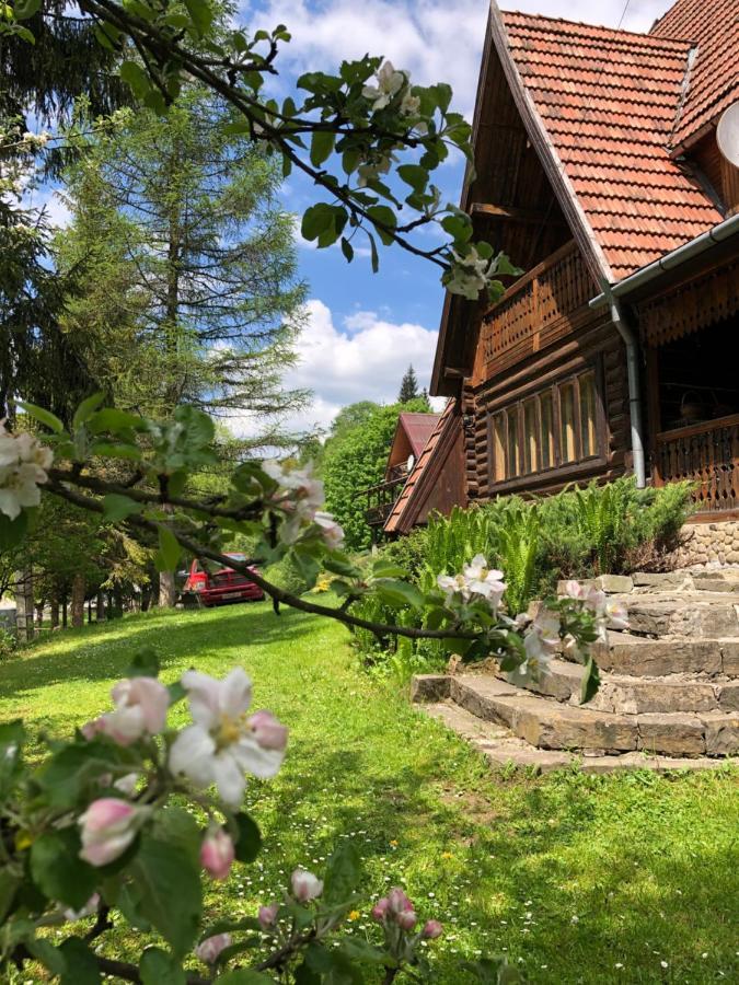 Sadyba Vanda Oryavchyk Dış mekan fotoğraf