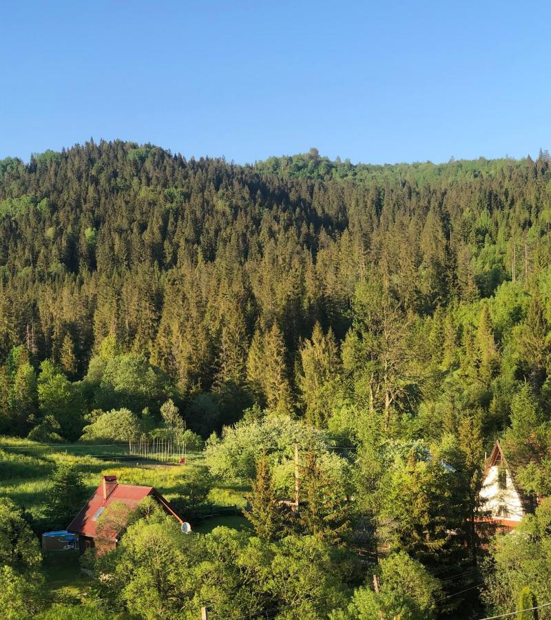 Sadyba Vanda Oryavchyk Dış mekan fotoğraf